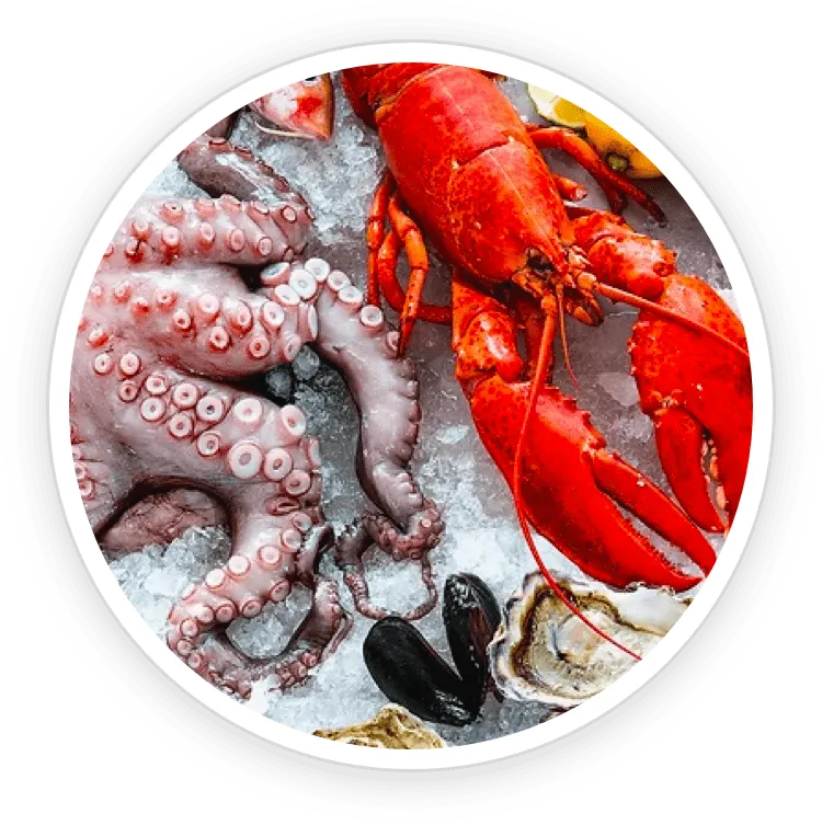 Medicinal plant highlighting the EyeFortin formula.